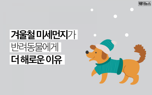 0704308c0acc1a5404d6ccc20ec456d8_1646382691_5808.png