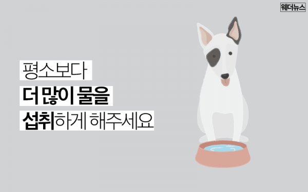 0704308c0acc1a5404d6ccc20ec456d8_1646382741_8119.png